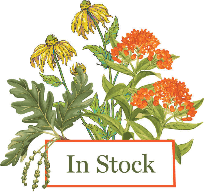 Currently In Stock – Maine Native Plants