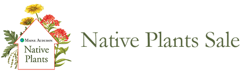 Maine Native Plants